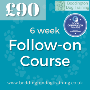 6 week Follow-on Course